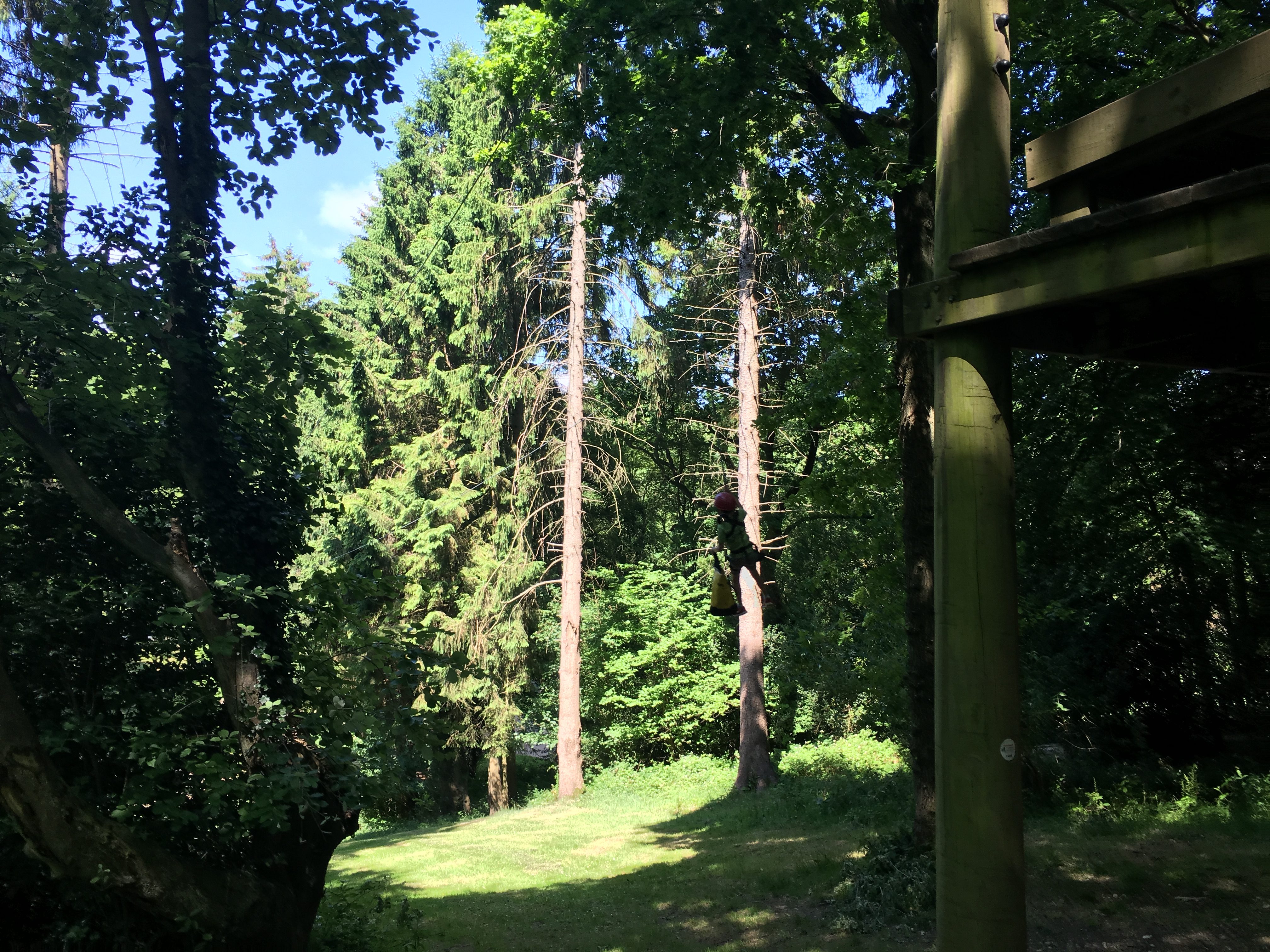 Cub Camp Downe 2017 – Photo Gallery