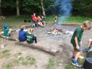 Cub Camp Downe 2017 – Photo Gallery