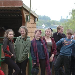 Scouts go horse riding in the Ashdown Forest