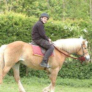 Scouts go horse riding in the Ashdown Forest