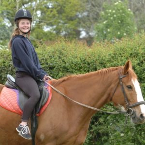Scouts go horse riding in the Ashdown Forest
