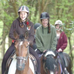 Scouts go horse riding in the Ashdown Forest