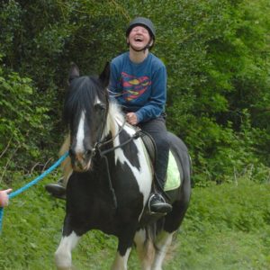 Scouts go horse riding in the Ashdown Forest