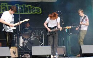 Party in Our Park – The Group Scout Leader’s report & Thanks
