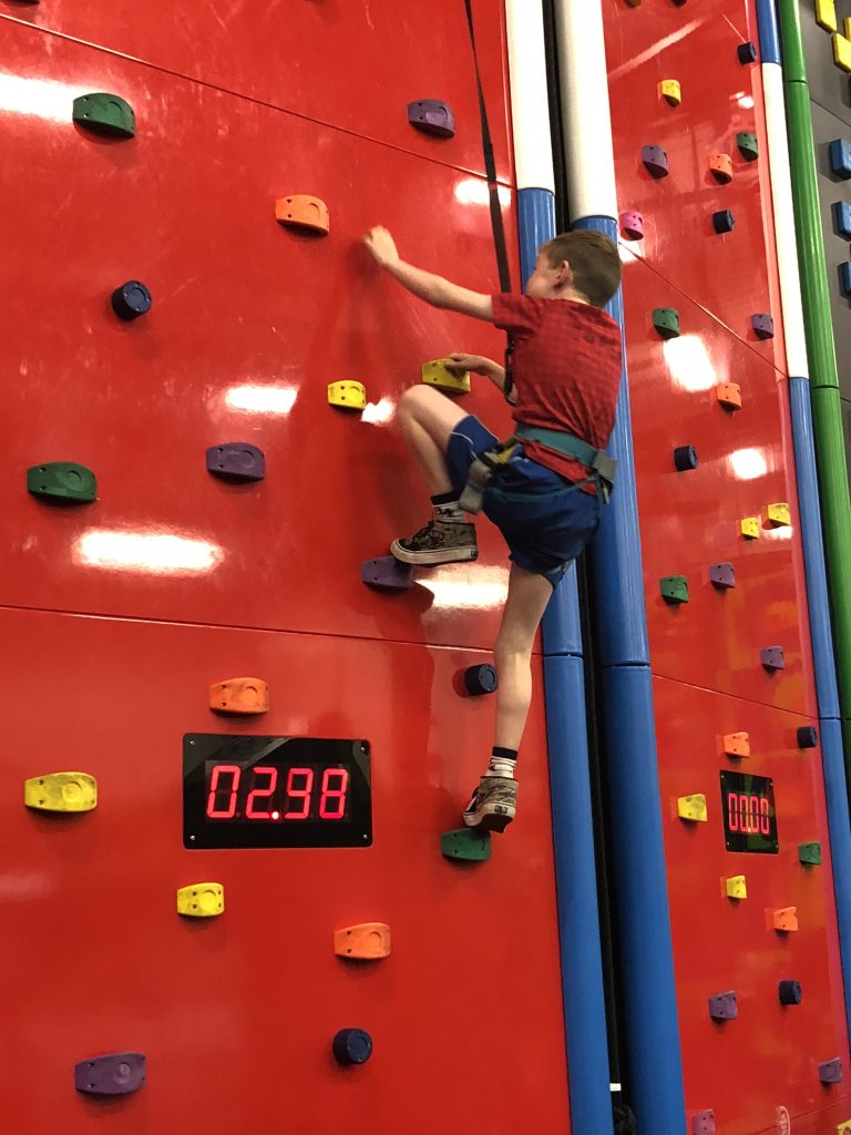 Cubs Scale Clip’n’Climb