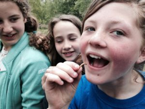 End of Term Reports – July 2017